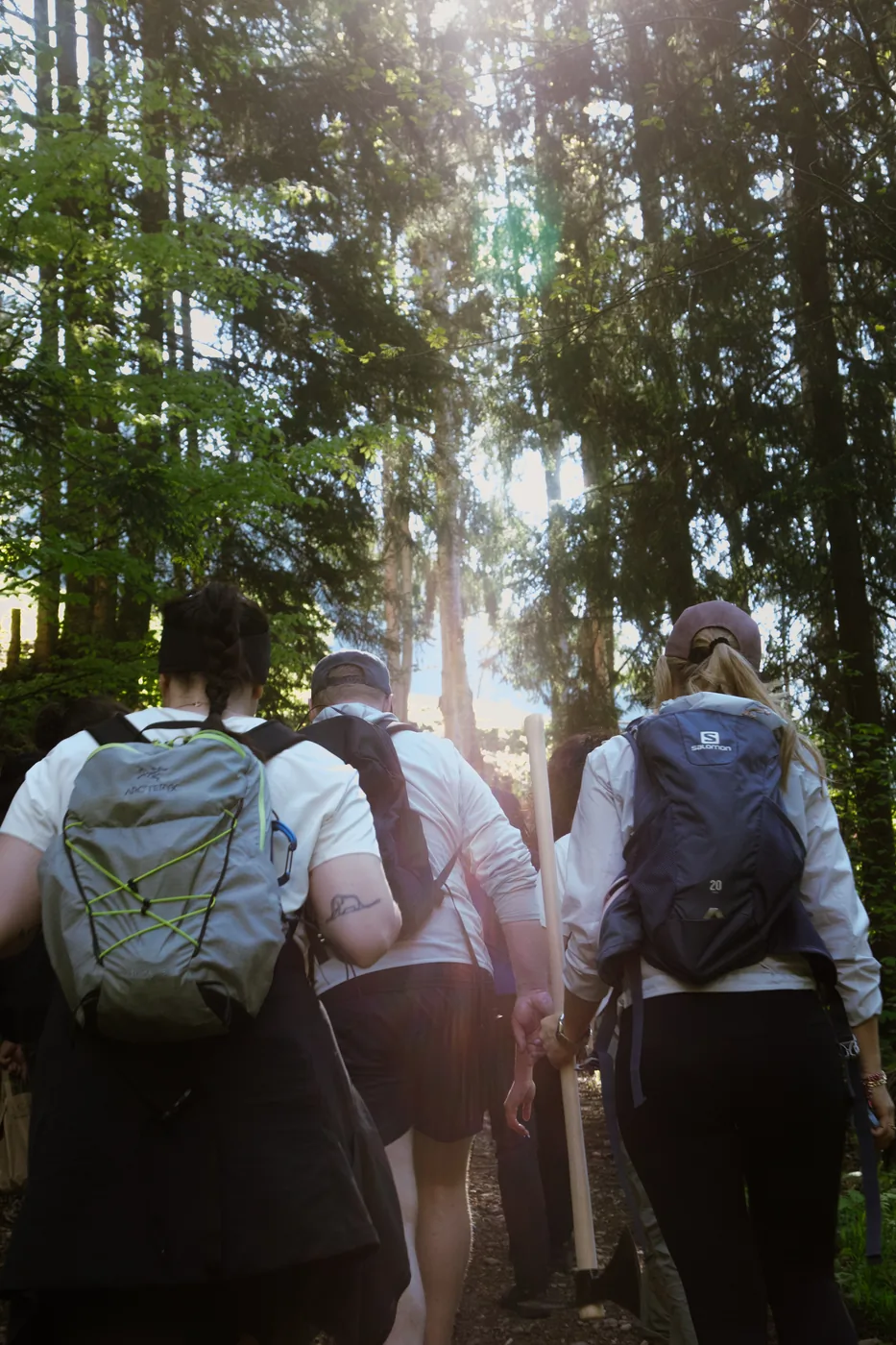 Menschen gehen mit Rucksäcken in einen gegenlichtdurchfluteten Wald