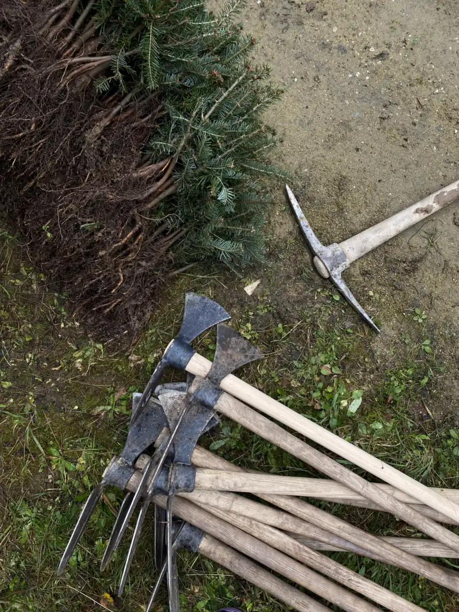 Planting hoes lying on the ground
