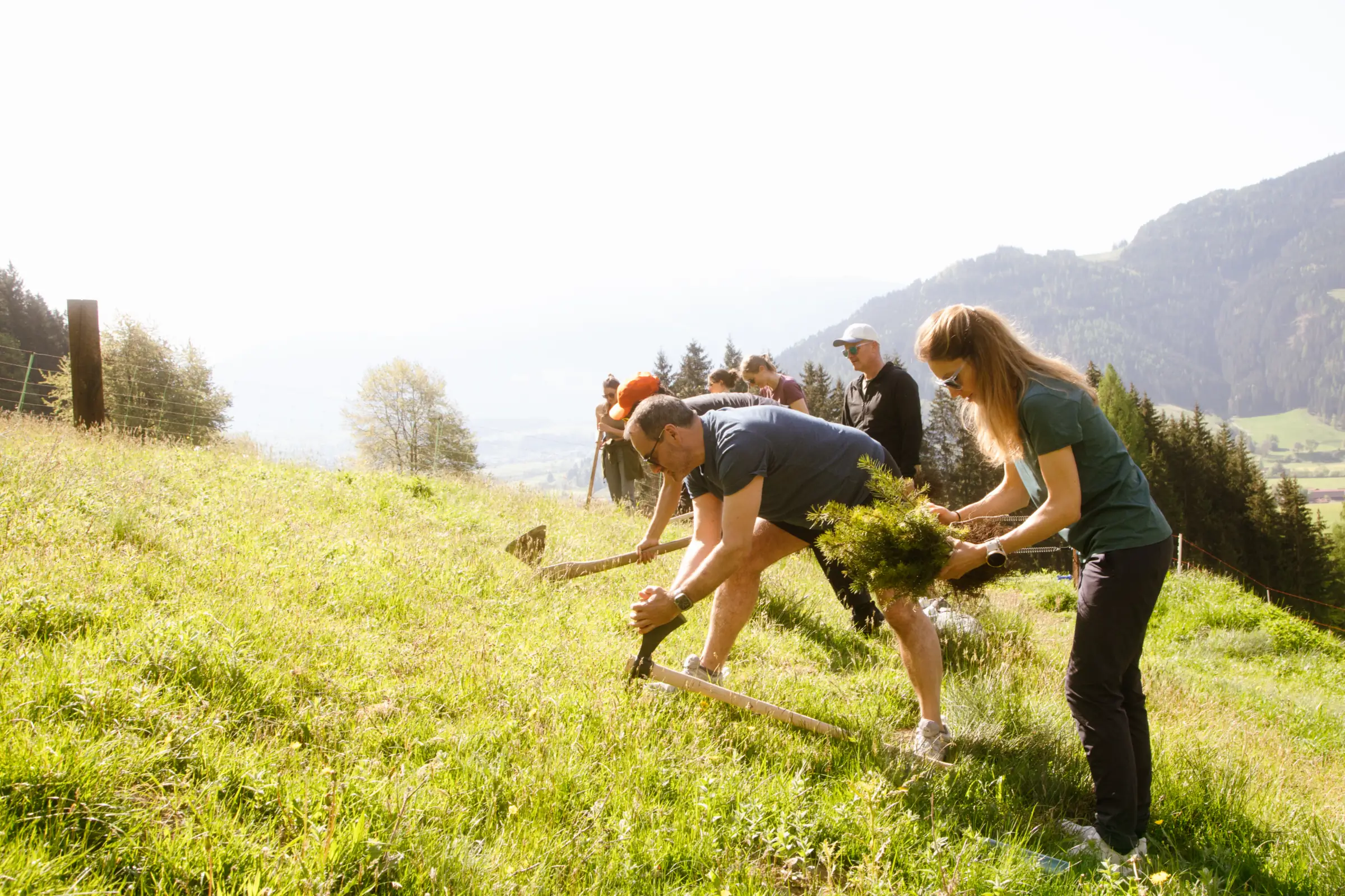 Zwei Menschen pflanzen auf einer grünen Bergwiese
