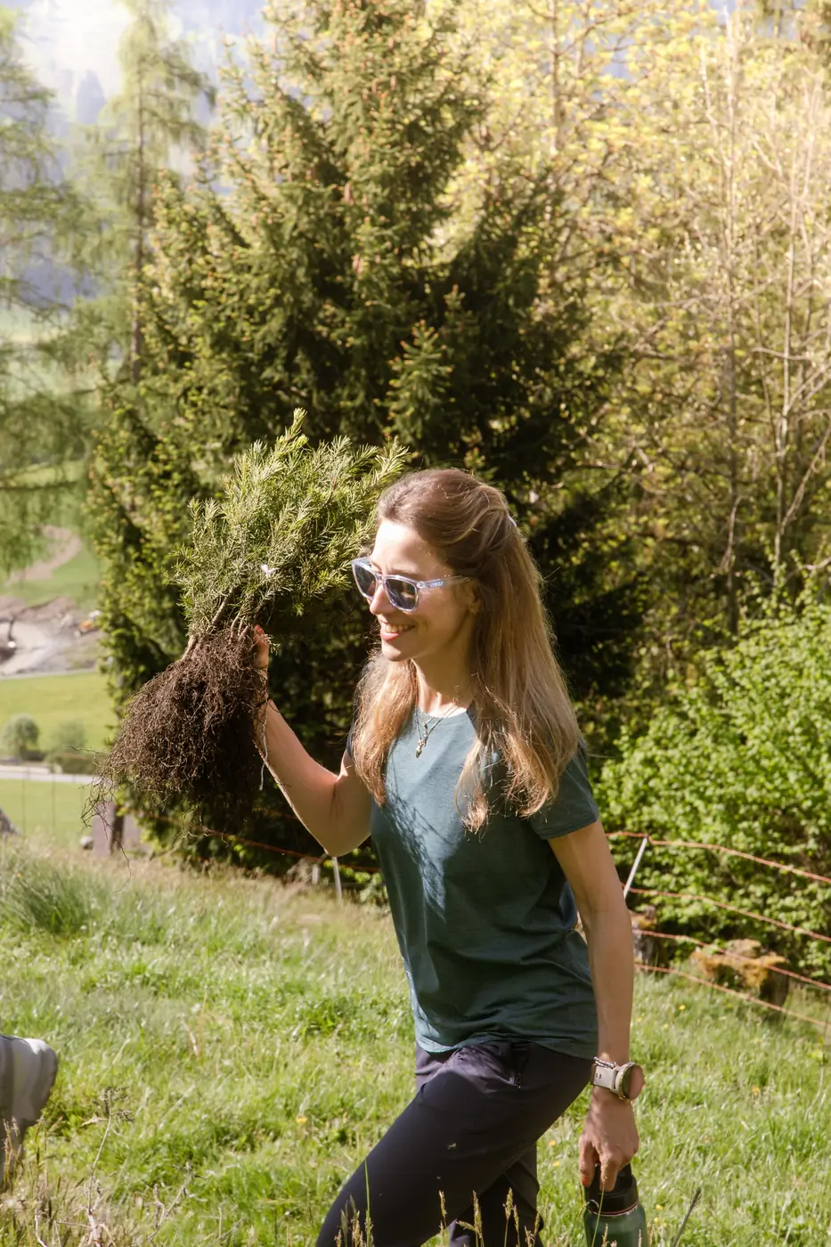 Person carrying a bundle of seedlings