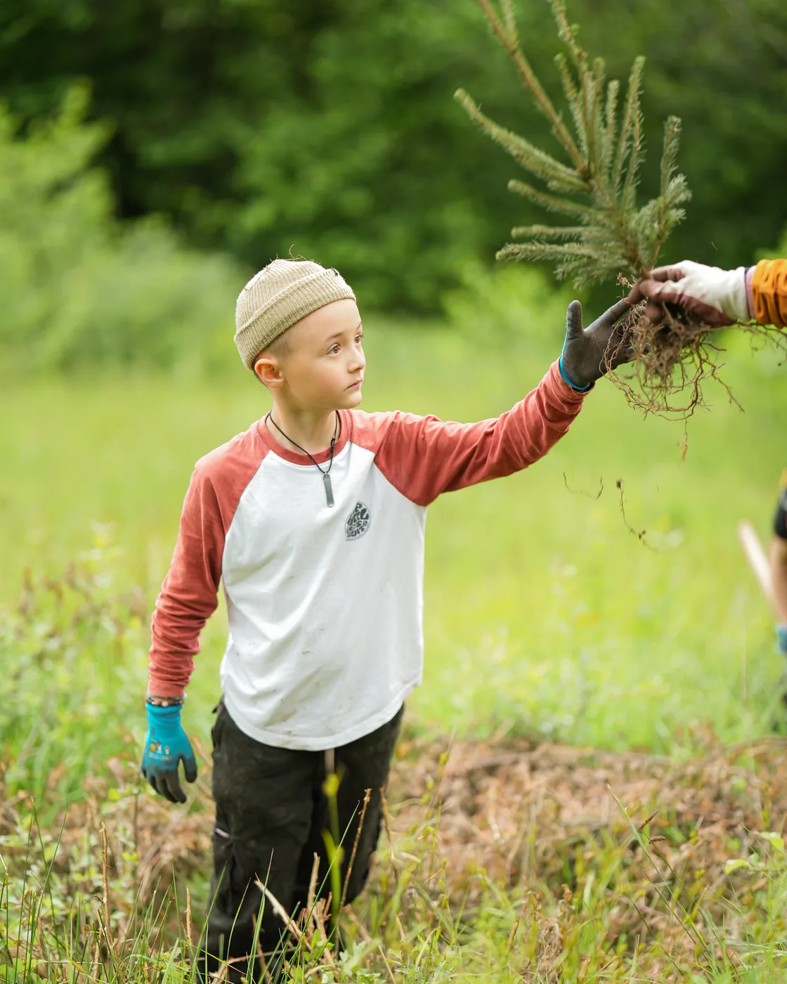Child holding a seedling up to the camera