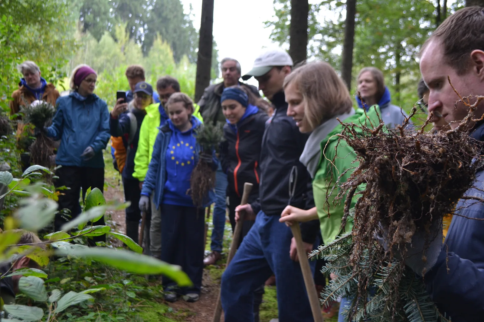 Gruppe bei der Einweisung im Wald, davor ein junger Setzling